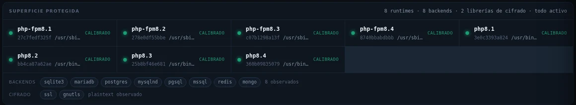 Superficie protegida: versiones del intérprete, bases de datos y librerías observadas